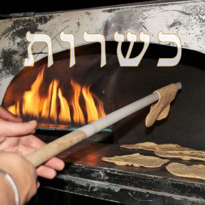 פסח במפעל ובבית
